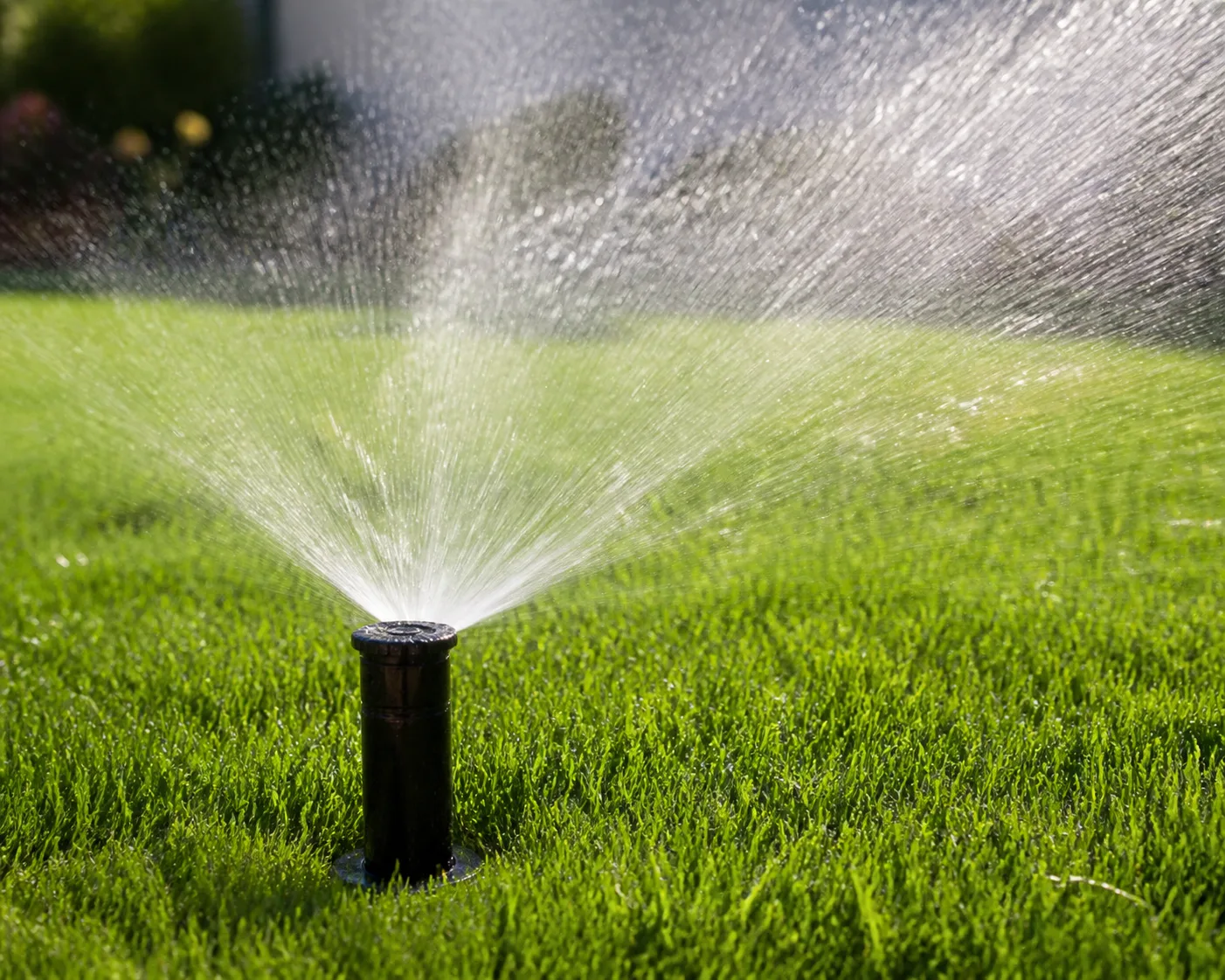 Sprinkler plant