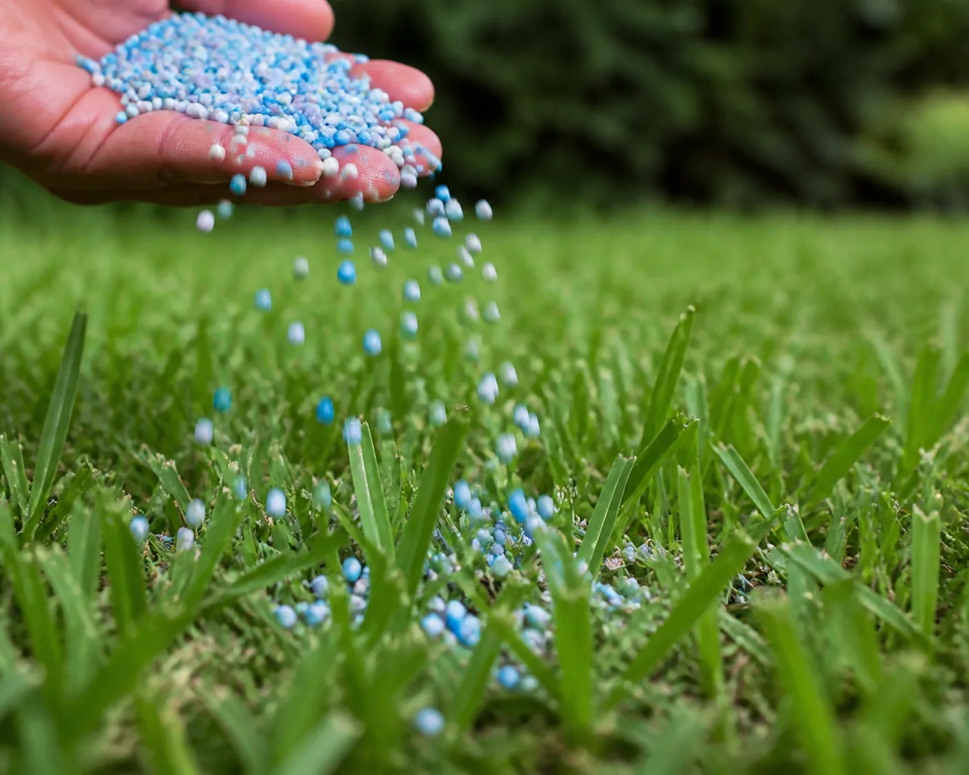 Synthetic Fertilizer plant