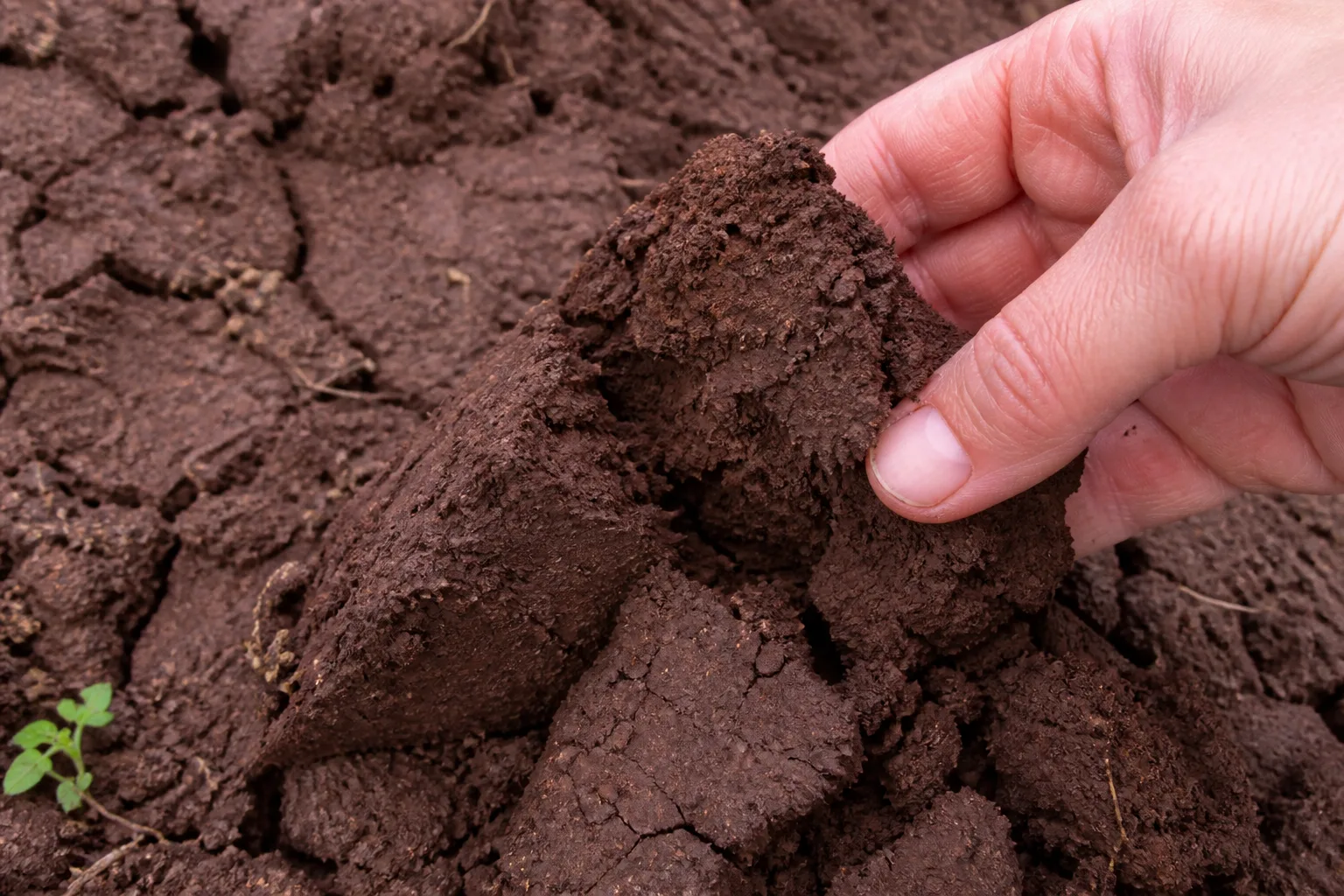 A hand holding a dense, cracked clump of heavy clay soil